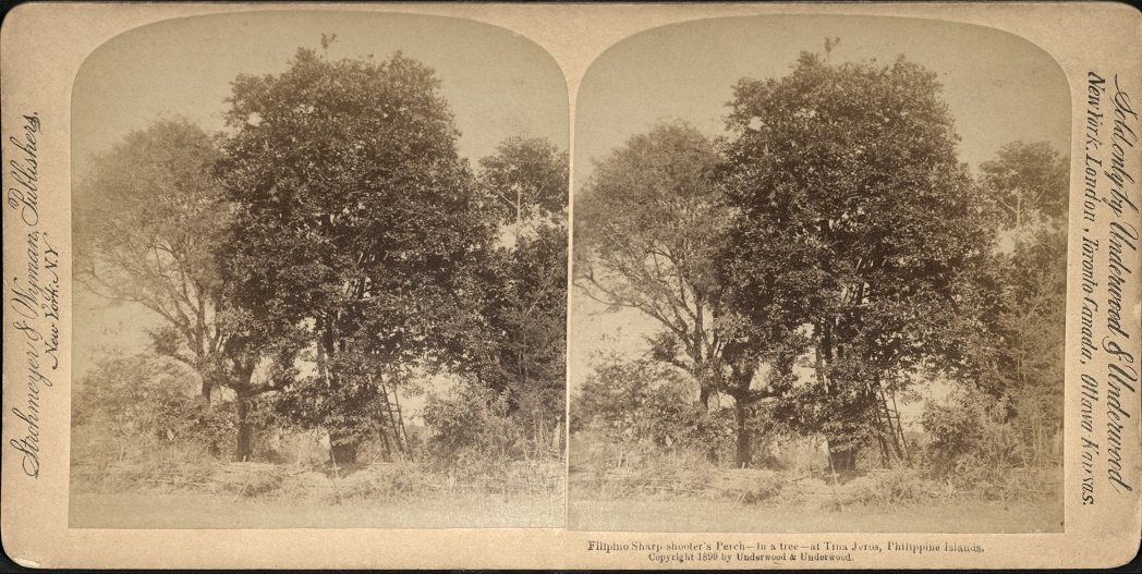 Filipino Sharp shooter’s Perch – in a tree – at Tina Jeros, Philippine Islands.
